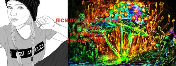 ГАЛЛЮЦИНОГЕННЫЕ ГРИБЫ Няндома