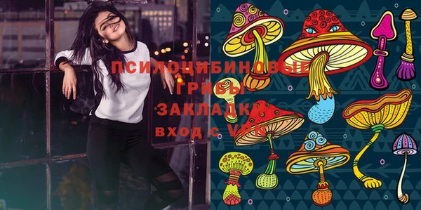 ГАЛЛЮЦИНОГЕННЫЕ ГРИБЫ Няндома