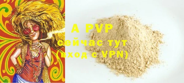 ГАЛЛЮЦИНОГЕННЫЕ ГРИБЫ Няндома